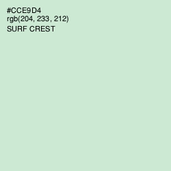 #CCE9D4 - Surf Crest Color Image